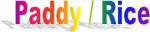paddy rice