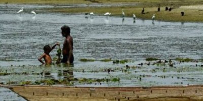 "Life and Water" photo © Lalit Shastri