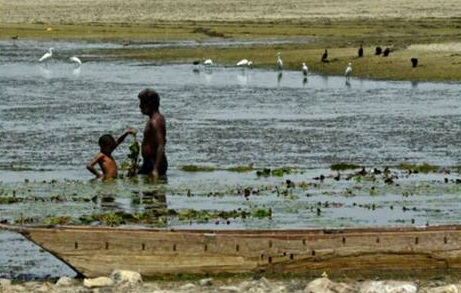 "Life and Water" photo © Lalit Shastri