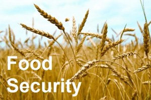 food security