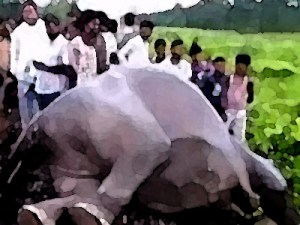 Representative image