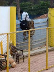 FB_IMG_1454872910321