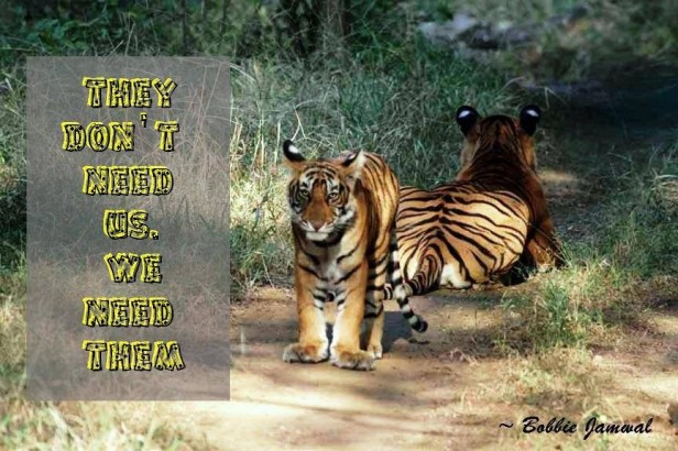 Tigers-they dont need us we need them