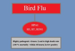 h5-avian-influenza-virus