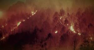 uttarakhand fire