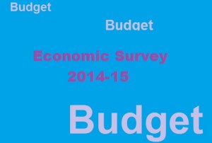 economic_survey