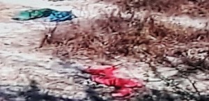 Clothes lay scattered in the fields near the alleged gang rape spot