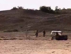 Tigri Rithora along Chambal River (Representative photo by Lalit Shastri)