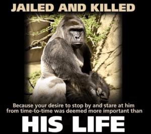 These have gone viral on social networking sites