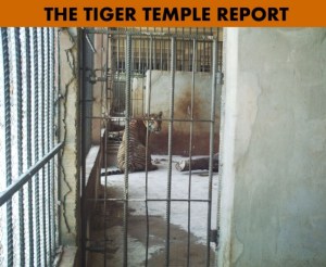 Photo: Courtesy Cee4life