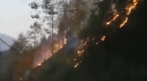 Uttarakhand forest fire