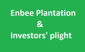 Enbee Plantation