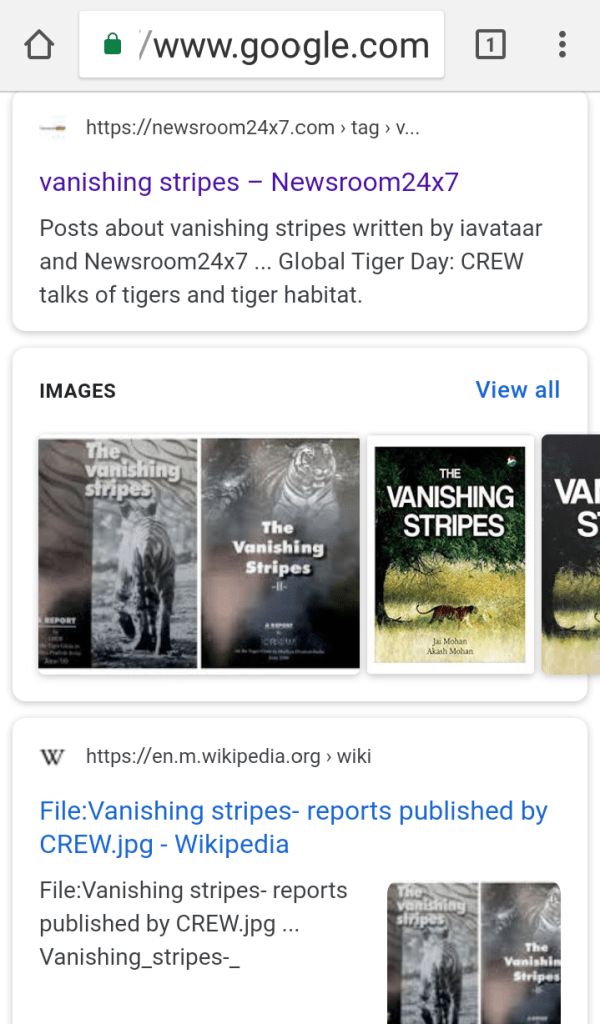 The Vanishing Stripes